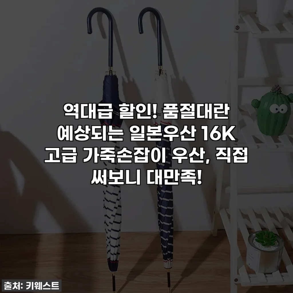 역대급 할인! 품절대란 예상되는 일본우산 16K 고급 가죽손잡이 우산, 직접 써보니 대만족!