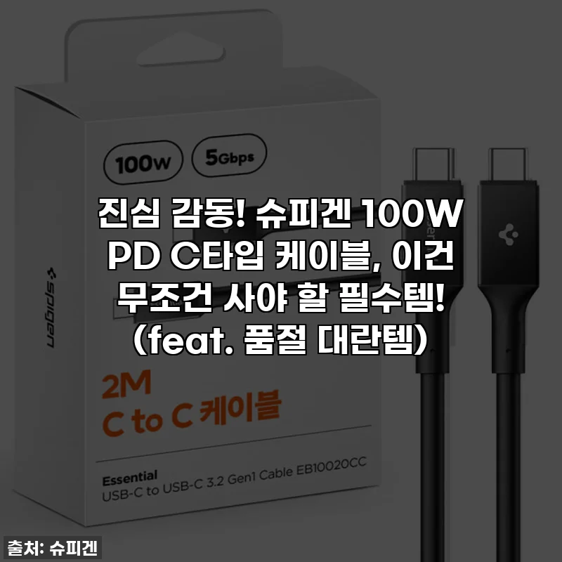 진심 감동! 슈피겐 100W PD C타입 케이블, 이건 무조건 사야 할 필수템! (feat. 품절 대란템)