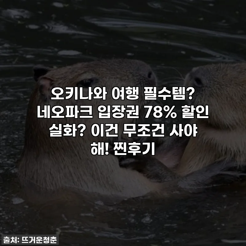 오키나와 여행 필수템? 네오파크 입장권 78% 할인 실화? 이건 무조건 사야 해! 찐후기