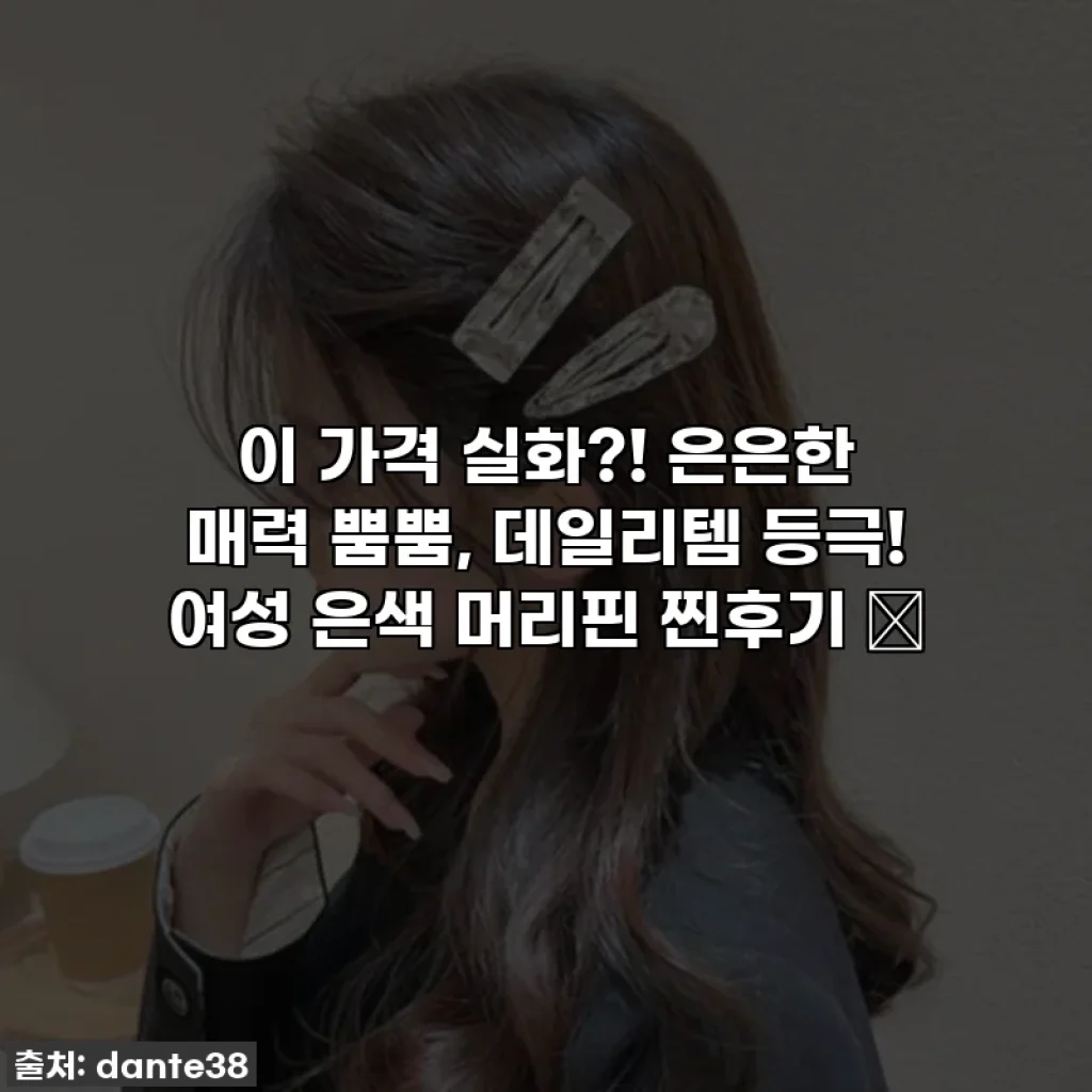 이 가격 실화?! 은은한 매력 뿜뿜, 데일리템 등극! 여성 은색 머리핀 찐후기 ✨