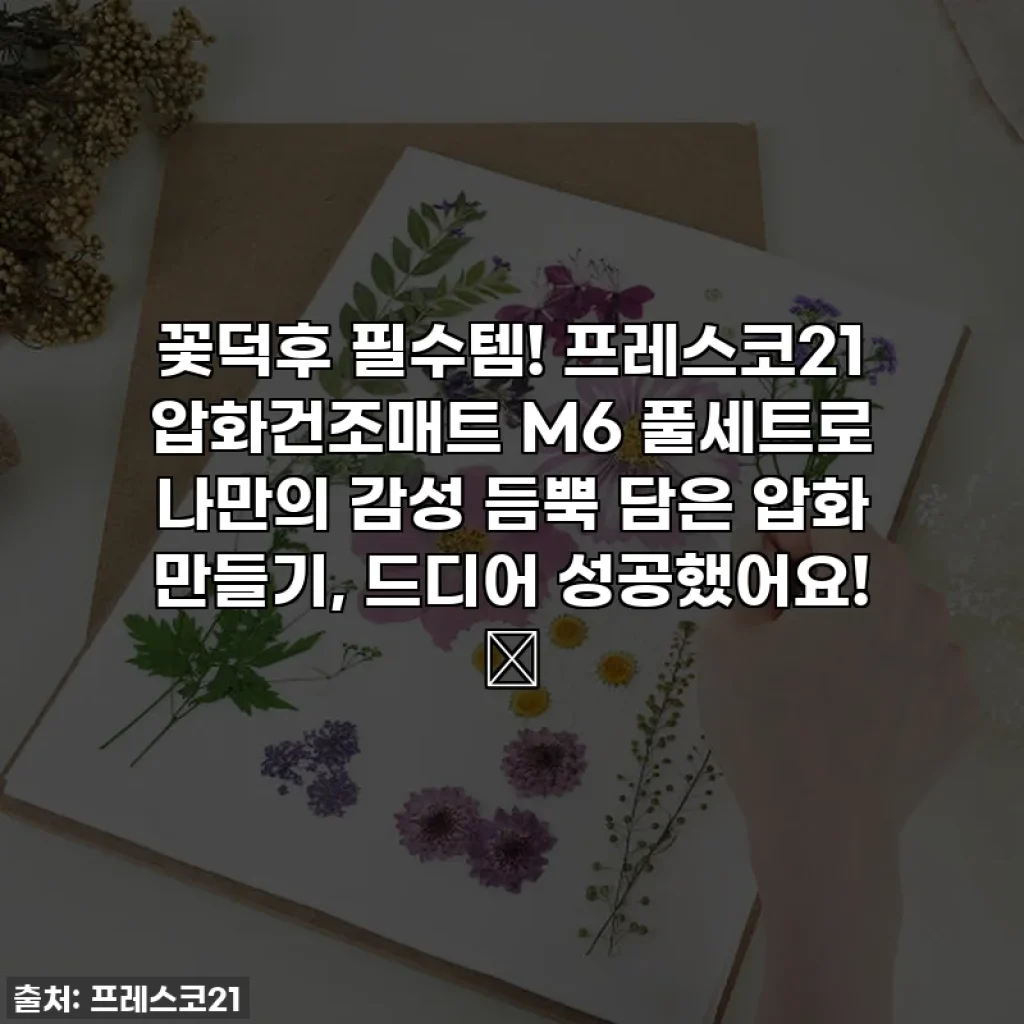 꽃덕후 필수템! 프레스코21 압화건조매트 M6 풀세트로 나만의 감성 듬뿍 담은 압화 만들기, 드디어 성공했어요! 🌸