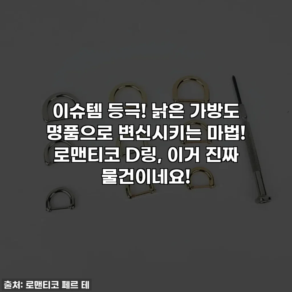 이슈템 등극! 낡은 가방도 명품으로 변신시키는 마법! 로맨티코 D링, 이거 진짜 물건이네요!