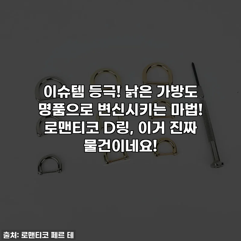 이슈템 등극! 낡은 가방도 명품으로 변신시키는 마법! 로맨티코 D링, 이거 진짜 물건이네요!