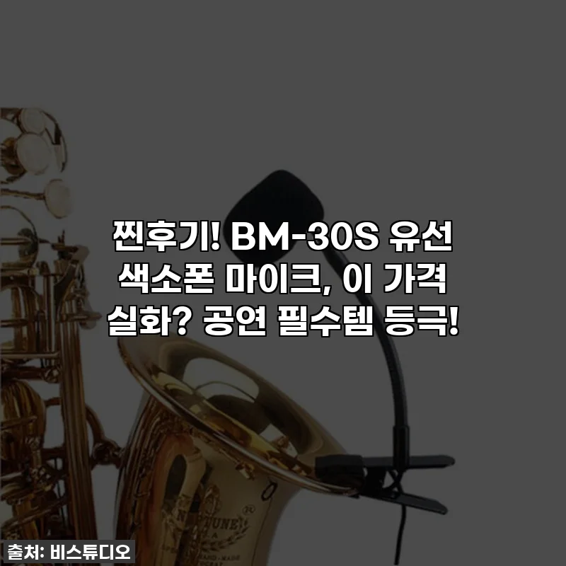 찐후기! BM-30S 유선 색소폰 마이크, 이 가격 실화? 공연 필수템 등극!