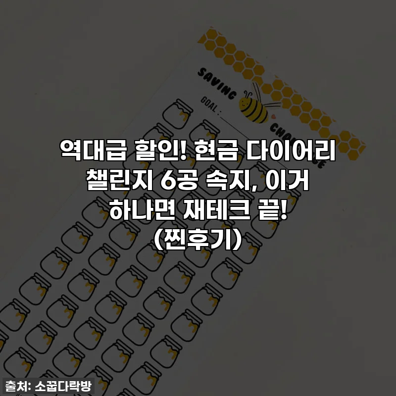 역대급 할인! 현금 다이어리 챌린지 6공 속지, 이거 하나면 재테크 끝! (찐후기)