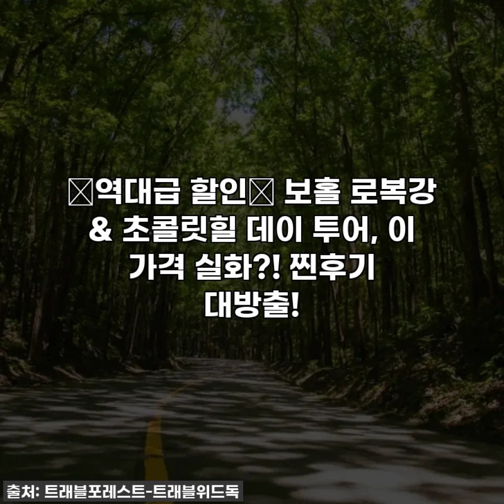 ⭐역대급 할인⭐ 보홀 로복강 & 초콜릿힐 데이 투어, 이 가격 실화?! 찐후기 대방출!