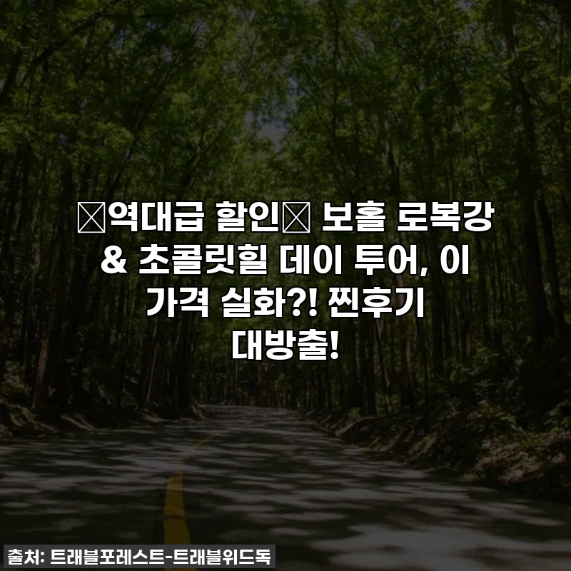⭐역대급 할인⭐ 보홀 로복강 & 초콜릿힐 데이 투어, 이 가격 실화?! 찐후기 대방출!