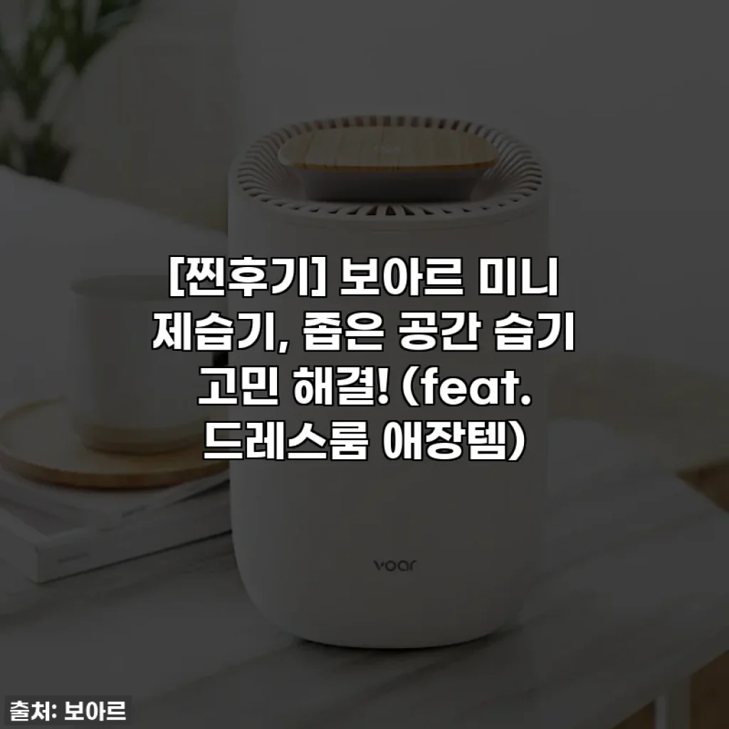 [찐후기] 보아르 미니 제습기, 좁은 공간 습기 고민 해결! (feat. 드레스룸 애장템)