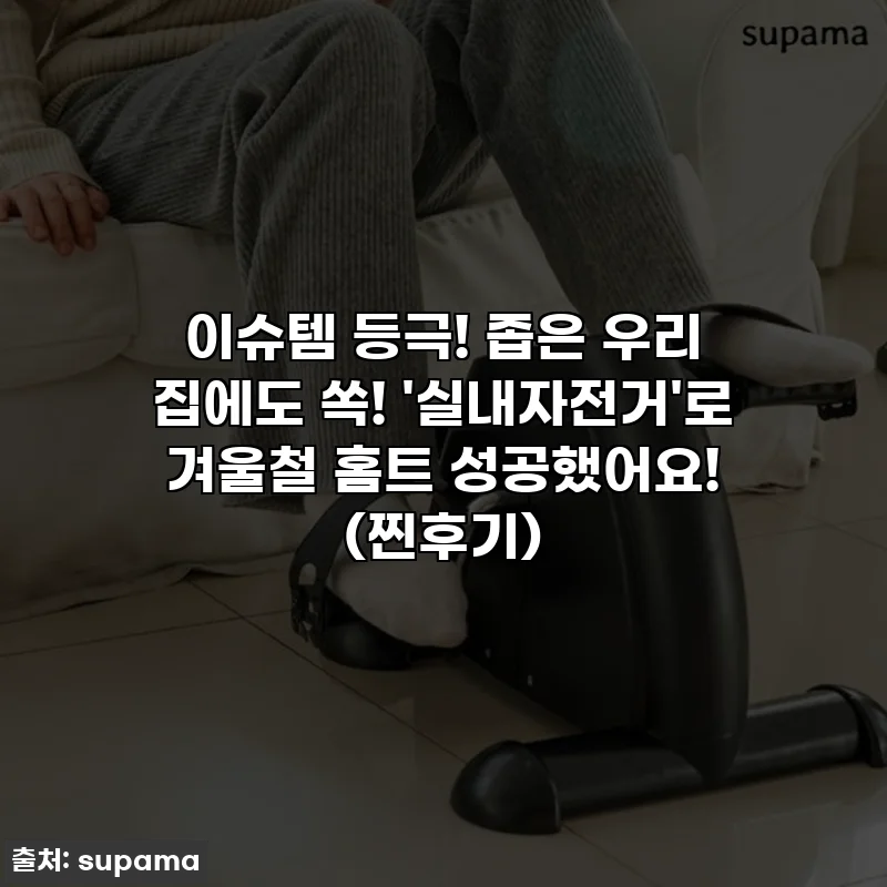 이슈템 등극! 좁은 우리 집에도 쏙! '실내자전거'로 겨울철 홈트 성공했어요! (찐후기)