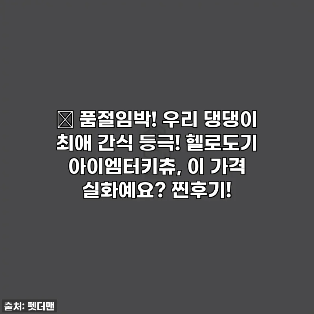 🎁 품절임박! 우리 댕댕이 최애 간식 등극! 헬로도기 아이엠터키츄, 이 가격 실화예요? 찐후기!