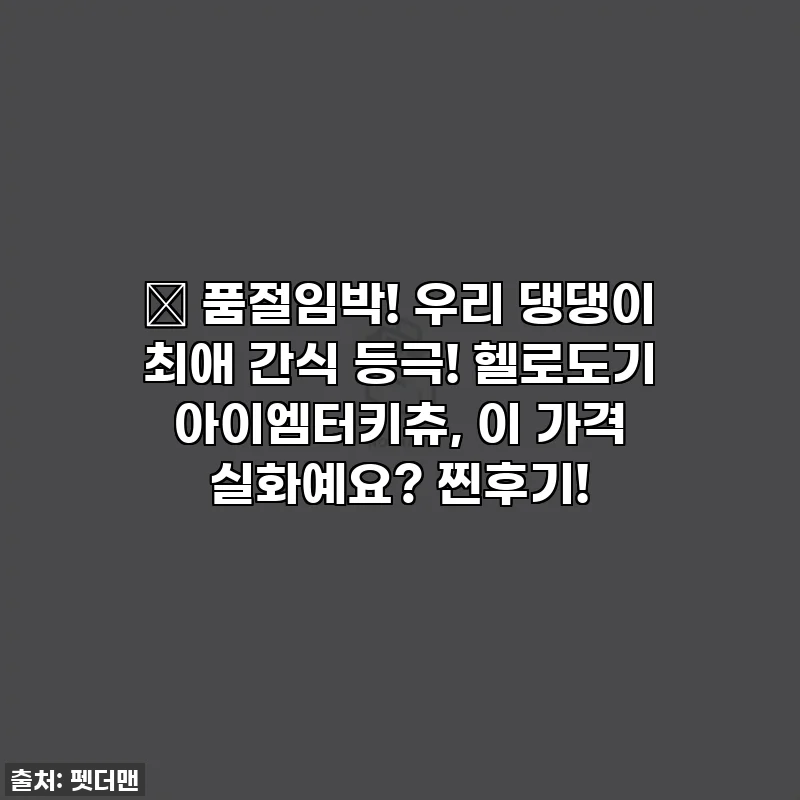 🎁 품절임박! 우리 댕댕이 최애 간식 등극! 헬로도기 아이엠터키츄, 이 가격 실화예요? 찐후기!