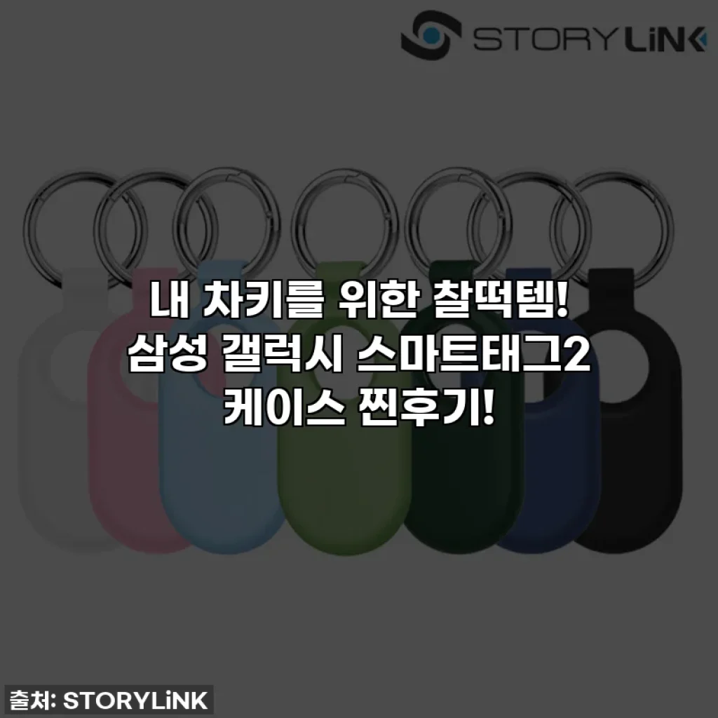 내 차키를 위한 찰떡템! 삼성 갤럭시 스마트태그2 케이스 찐후기!