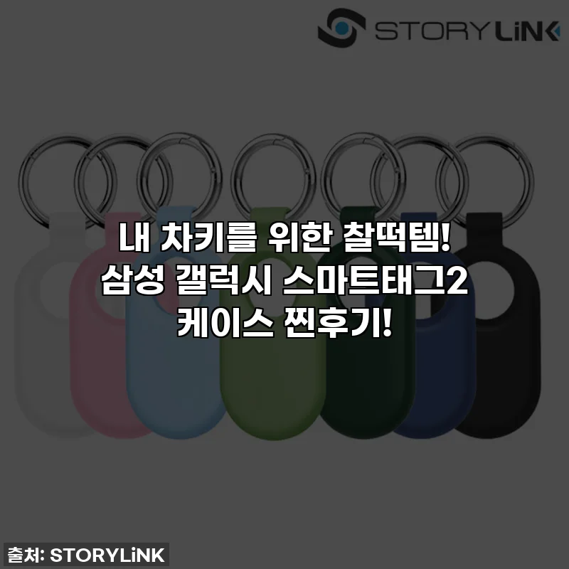 내 차키를 위한 찰떡템! 삼성 갤럭시 스마트태그2 케이스 찐후기!