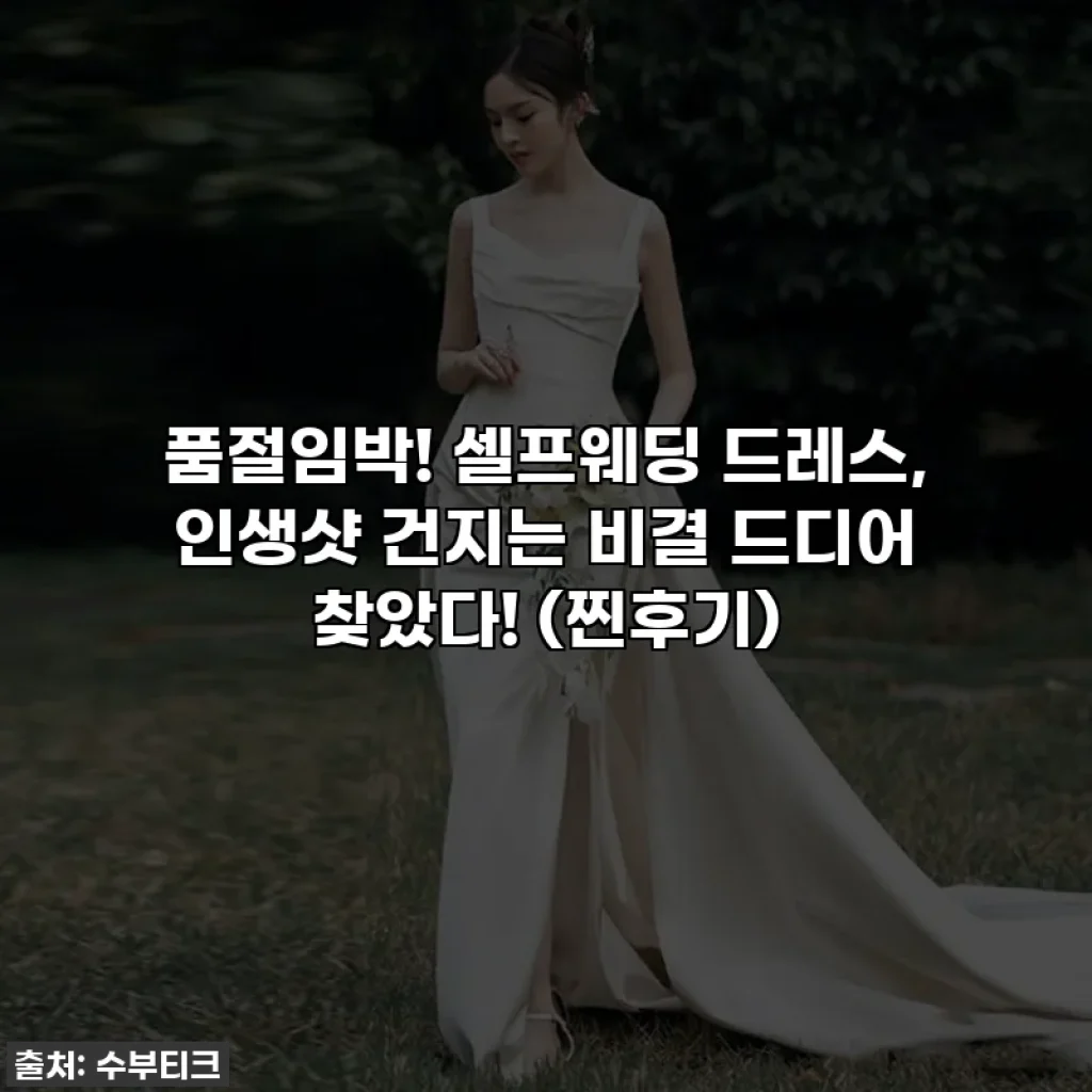 품절임박! 셀프웨딩 드레스, 인생샷 건지는 비결 드디어 찾았다! (찐후기)