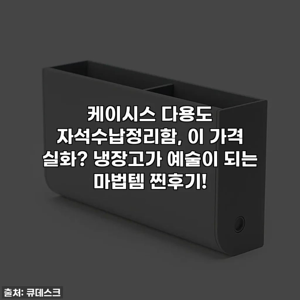 케이시스 다용도 자석수납정리함, 이 가격 실화? 냉장고가 예술이 되는 마법템 찐후기!
