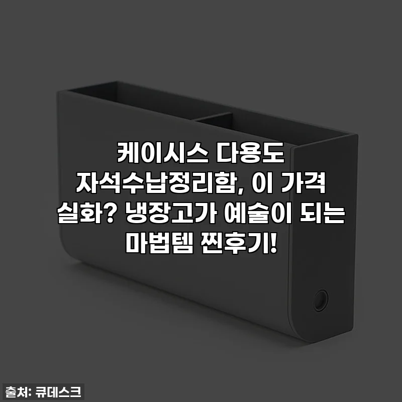 케이시스 다용도 자석수납정리함, 이 가격 실화? 냉장고가 예술이 되는 마법템 찐후기!