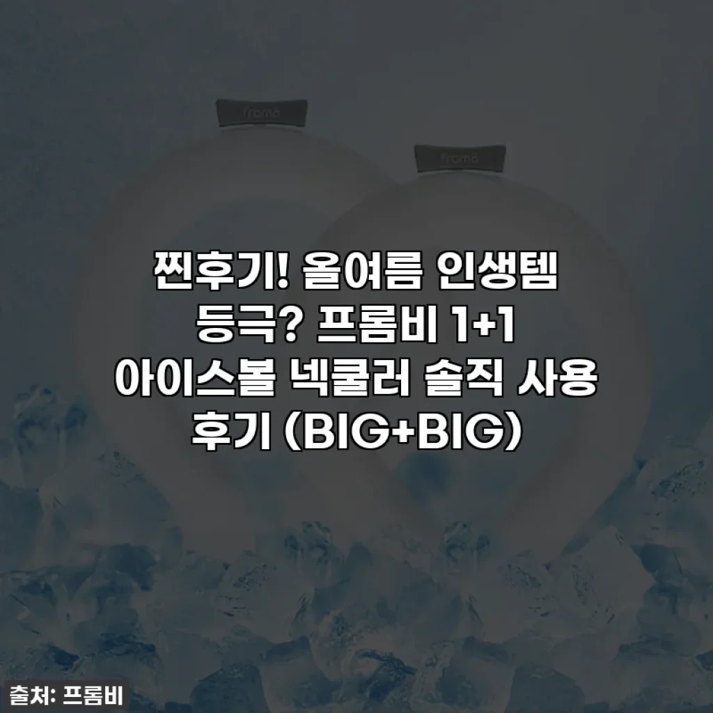 찐후기! 올여름 인생템 등극? 프롬비 1+1 아이스볼 넥쿨러 솔직 사용 후기 (BIG+BIG)