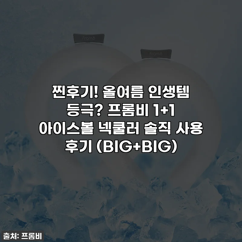 찐후기! 올여름 인생템 등극? 프롬비 1+1 아이스볼 넥쿨러 솔직 사용 후기 (BIG+BIG)