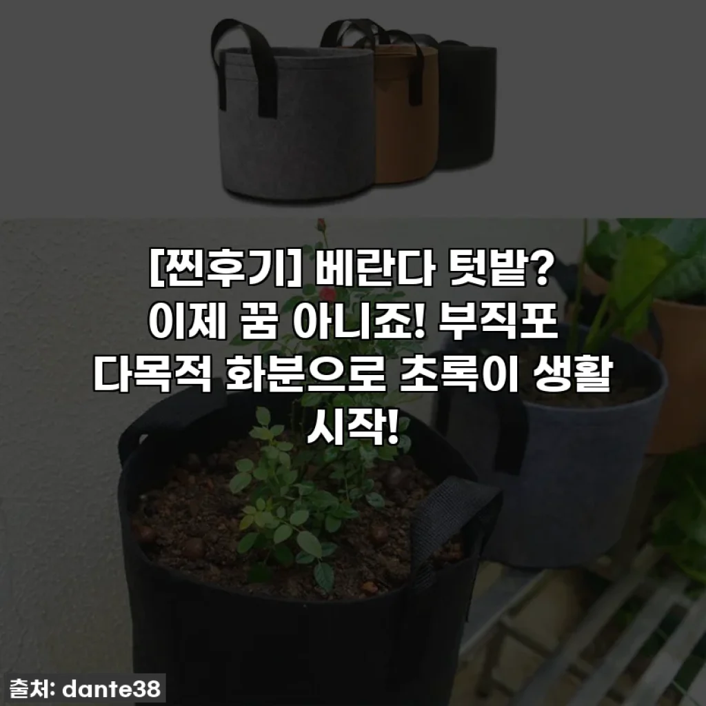 [찐후기] 베란다 텃밭? 이제 꿈 아니죠! 부직포 다목적 화분으로 초록이 생활 시작!