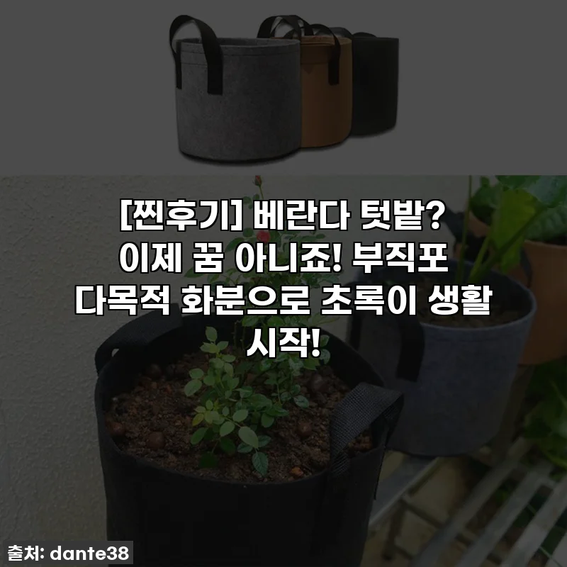 [찐후기] 베란다 텃밭? 이제 꿈 아니죠! 부직포 다목적 화분으로 초록이 생활 시작!