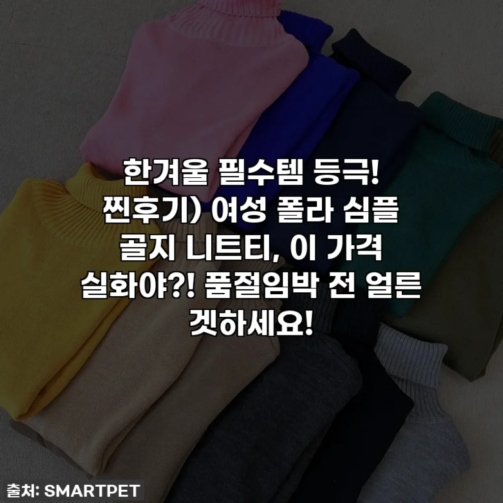 한겨울 필수템 등극! 찐후기) 여성 폴라 심플 골지 니트티, 이 가격 실화야?! 품절임박 전 얼른 겟하세요!