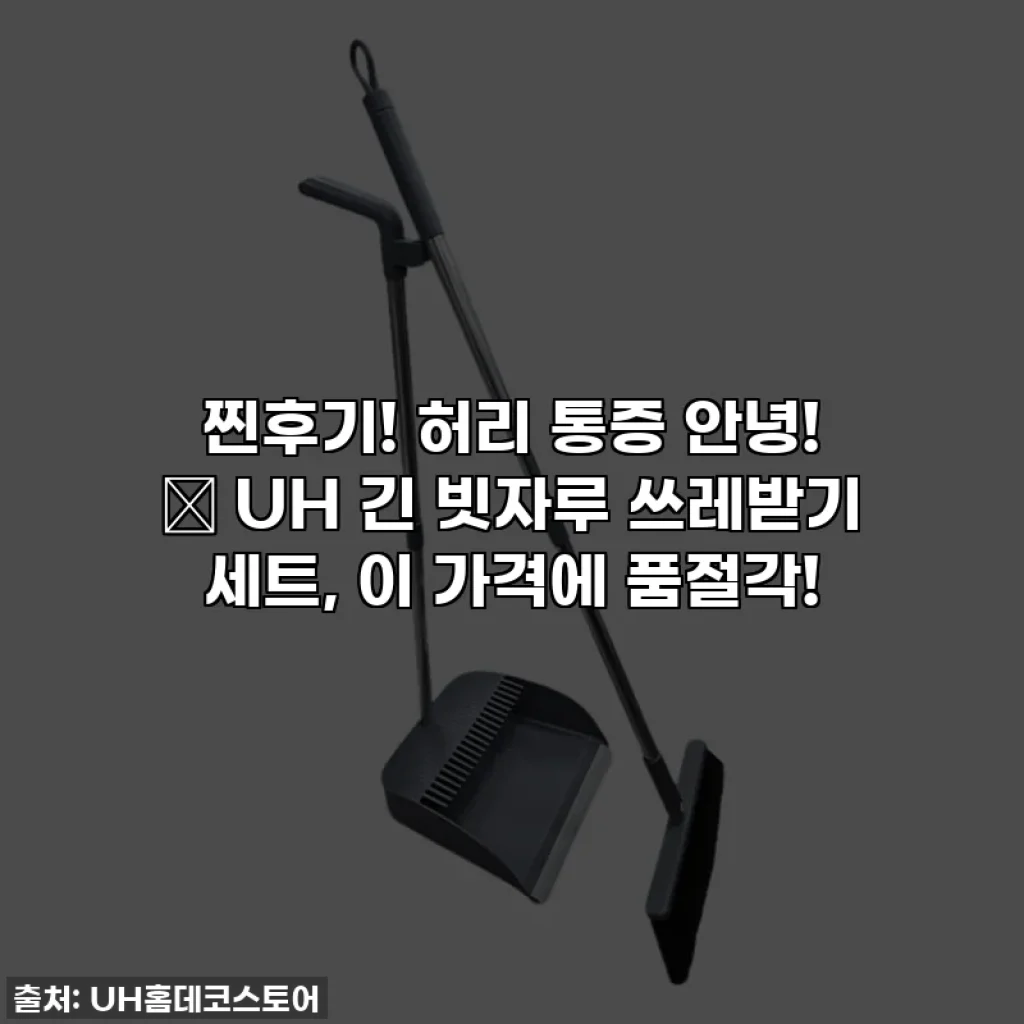 찐후기! 허리 통증 안녕! ✨ UH 긴 빗자루 쓰레받기 세트, 이 가격에 품절각!