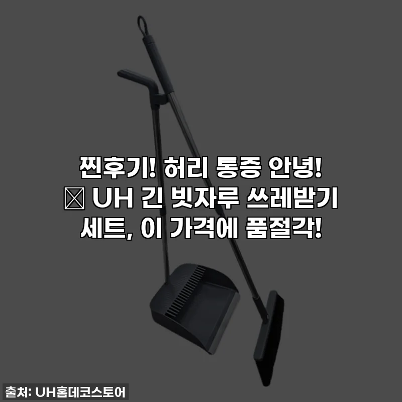 찐후기! 허리 통증 안녕! ✨ UH 긴 빗자루 쓰레받기 세트, 이 가격에 품절각!