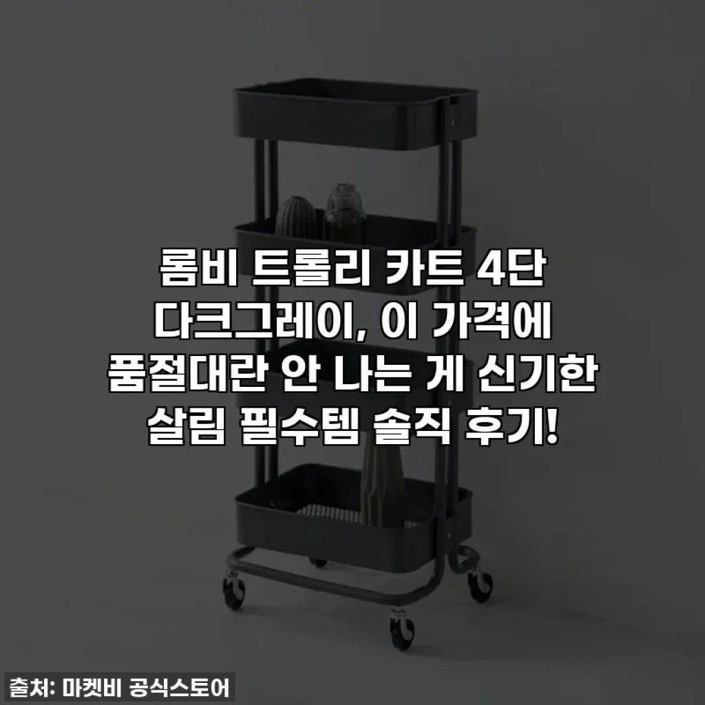 롬비 트롤리 카트 4단 다크그레이, 이 가격에 품절대란 안 나는 게 신기한 살림 필수템 솔직 후기!
