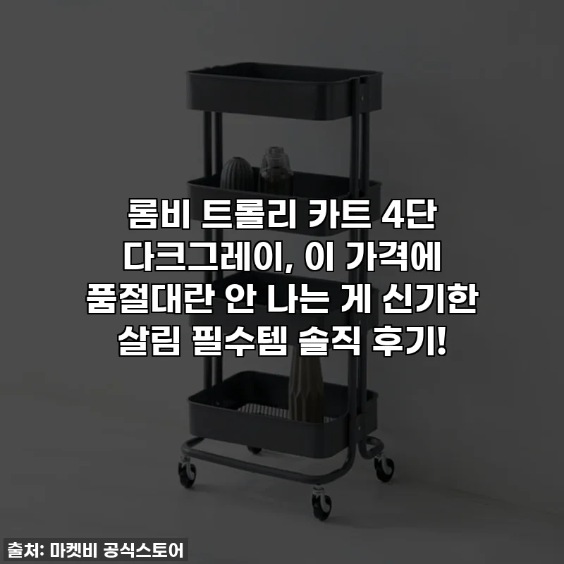 롬비 트롤리 카트 4단 다크그레이, 이 가격에 품절대란 안 나는 게 신기한 살림 필수템 솔직 후기!