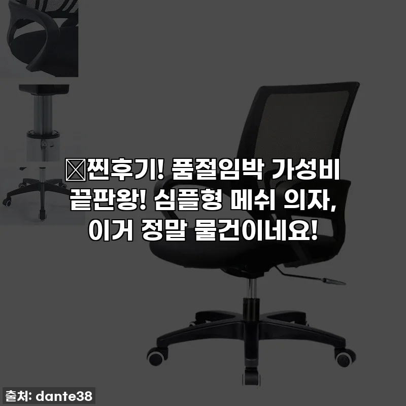 🔥찐후기! 품절임박 가성비 끝판왕! 심플형 메쉬 의자, 이거 정말 물건이네요!