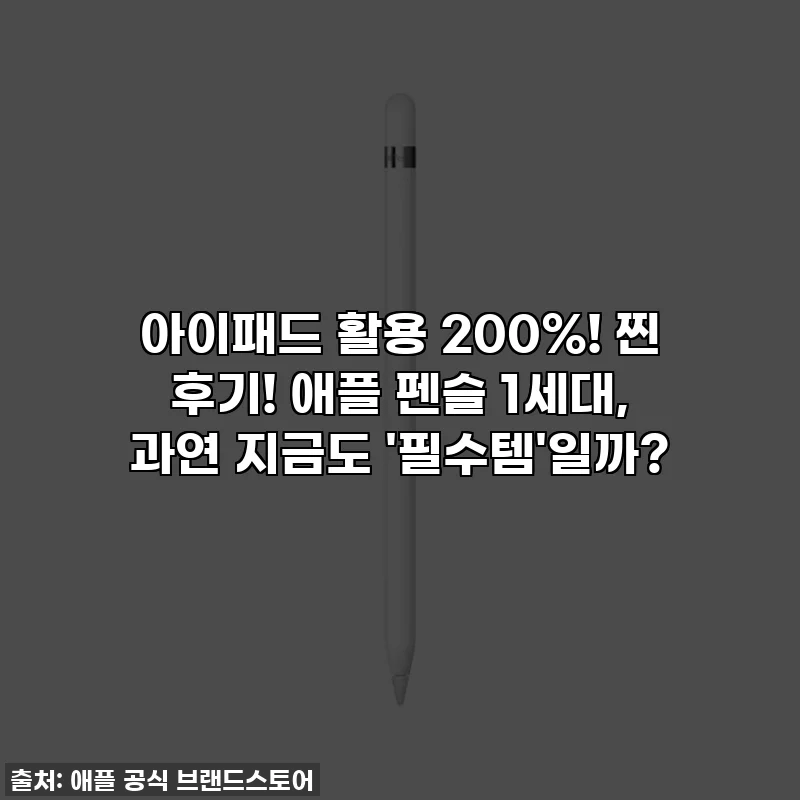 아이패드 활용 200%! 찐 후기! 애플 펜슬 1세대, 과연 지금도 '필수템'일까?