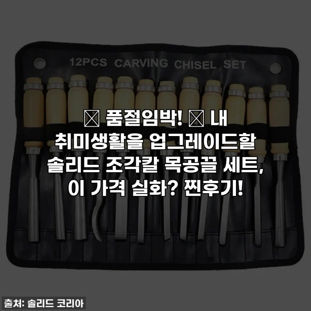 🎁 품절임박! ✨ 내 취미생활을 업그레이드할 솔리드 조각칼 목공끌 세트, 이 가격 실화? 찐후기!