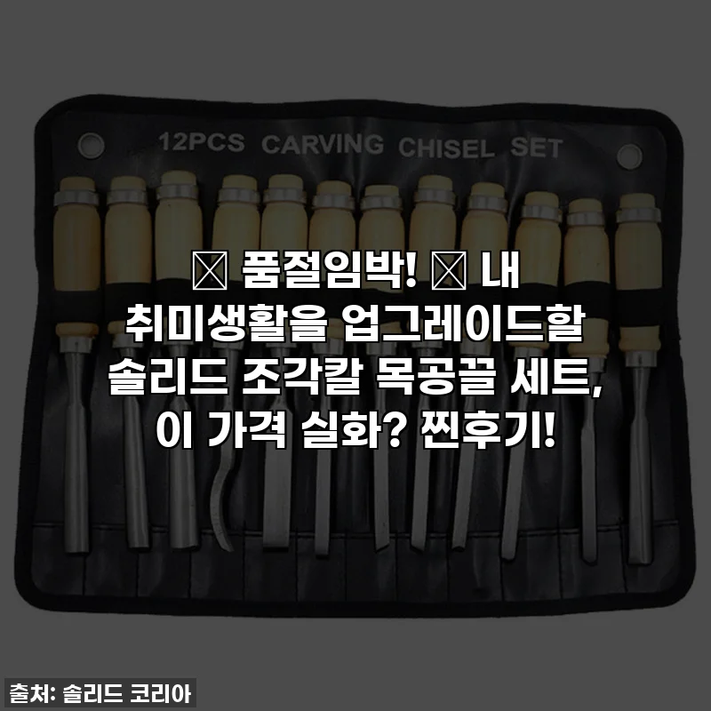 🎁 품절임박! ✨ 내 취미생활을 업그레이드할 솔리드 조각칼 목공끌 세트, 이 가격 실화? 찐후기!