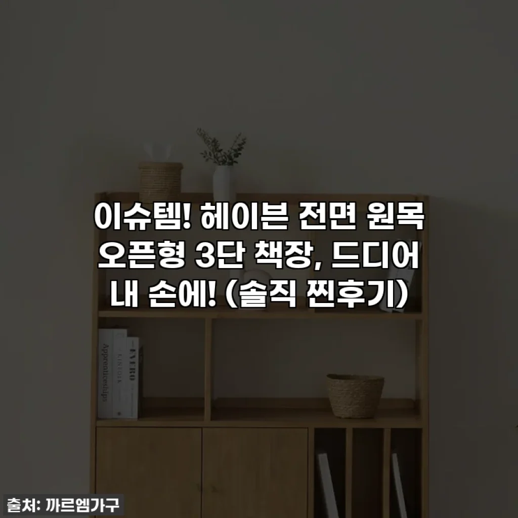 이슈템! 헤이븐 전면 원목 오픈형 3단 책장, 드디어 내 손에! (솔직 찐후기)
