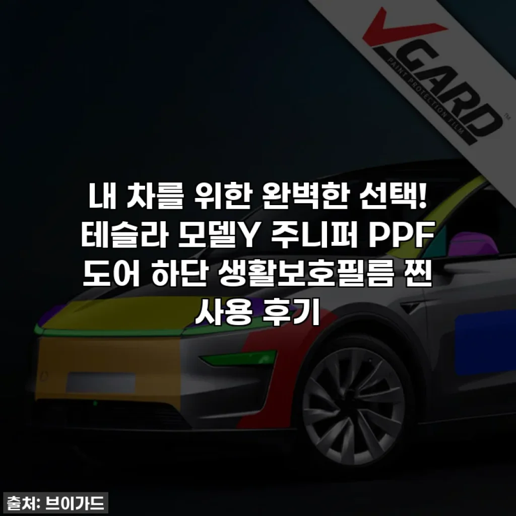 내 차를 위한 완벽한 선택! 테슬라 모델Y 주니퍼 PPF 도어 하단 생활보호필름 찐 사용 후기