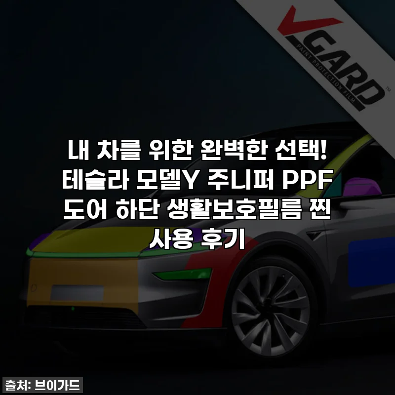 내 차를 위한 완벽한 선택! 테슬라 모델Y 주니퍼 PPF 도어 하단 생활보호필름 찐 사용 후기