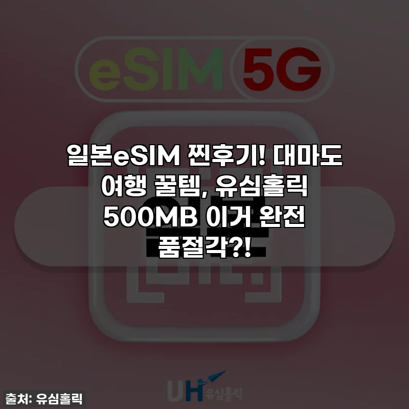 일본eSIM 찐후기! 대마도 여행 꿀템, 유심홀릭 500MB 이거 완전 품절각?!