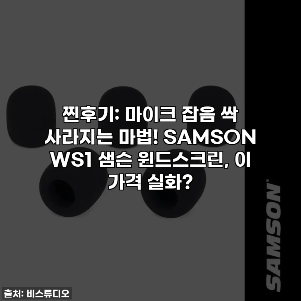 찐후기: 마이크 잡음 싹 사라지는 마법! SAMSON WS1 샘슨 윈드스크린, 이 가격 실화?