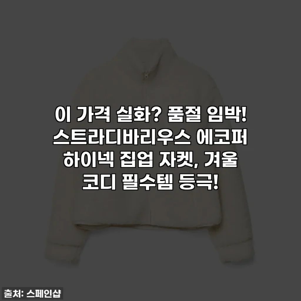 이 가격 실화? 품절 임박! 스트라디바리우스 에코퍼 하이넥 집업 자켓, 겨울 코디 필수템 등극!