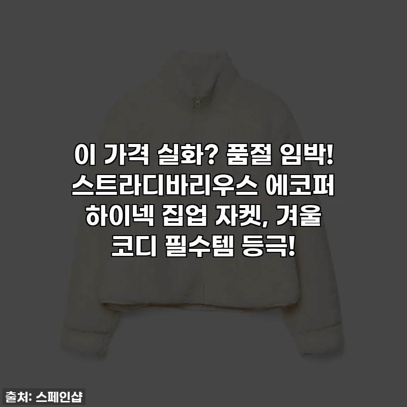 이 가격 실화? 품절 임박! 스트라디바리우스 에코퍼 하이넥 집업 자켓, 겨울 코디 필수템 등극!