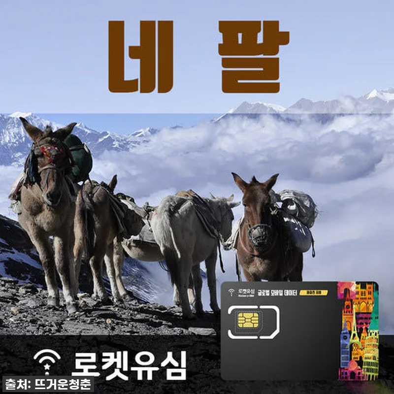 네팔 여행 필수템! 로켓유심으로 데이 관련 이미지 1