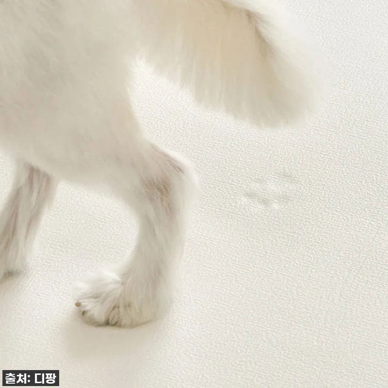 찐후기! 디팡 4mm 펫 미끄럼방지 관련 이미지 2