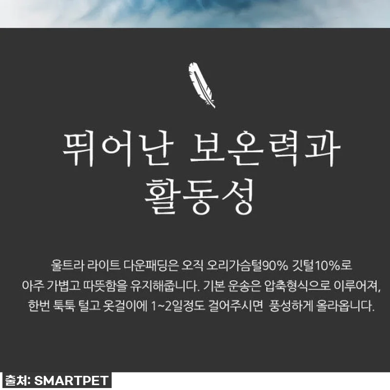 올겨울 필수템! 찐후기) 초경량 구스 관련 이미지 6
