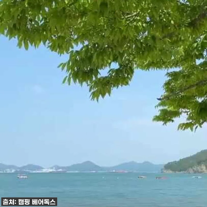 올겨울 난방 고민 끝! 신일 오방난로 관련 이미지 10