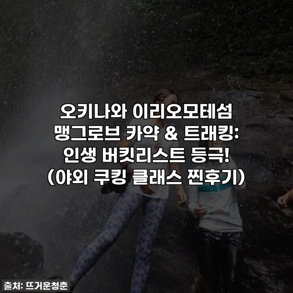 오키나와 이리오모테섬 맹그로브 카약 & 트래킹: 인생 버킷리스트 등극! (야외 쿠킹 클래스 찐후기)
