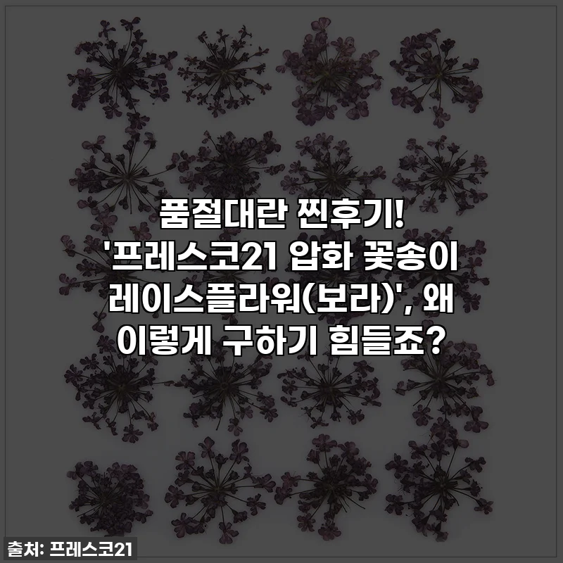 품절대란 찐후기! '프레스코21 압화 꽃송이 레이스플라워(보라)', 왜 이렇게 구하기 힘들죠?