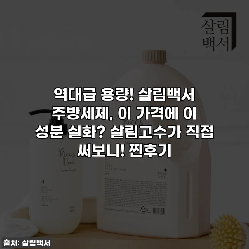 역대급 용량! 살림백서 주방세제, 이 가격에 이 성분 실화? 살림고수가 직접 써보니! 찐후기