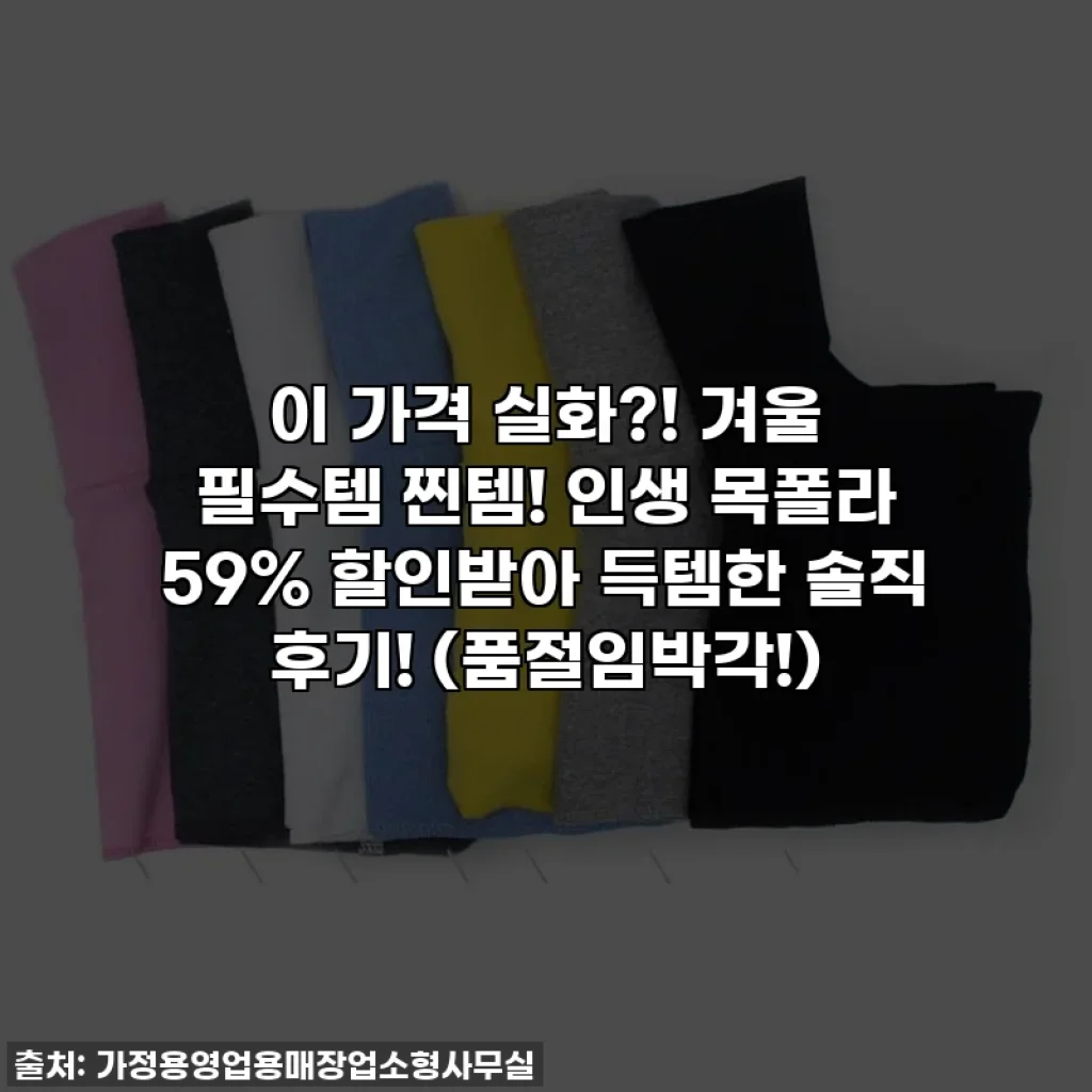 이 가격 실화?! 겨울 필수템 찐템! 인생 목폴라 59% 할인받아 득템한 솔직 후기! (품절임박각!)