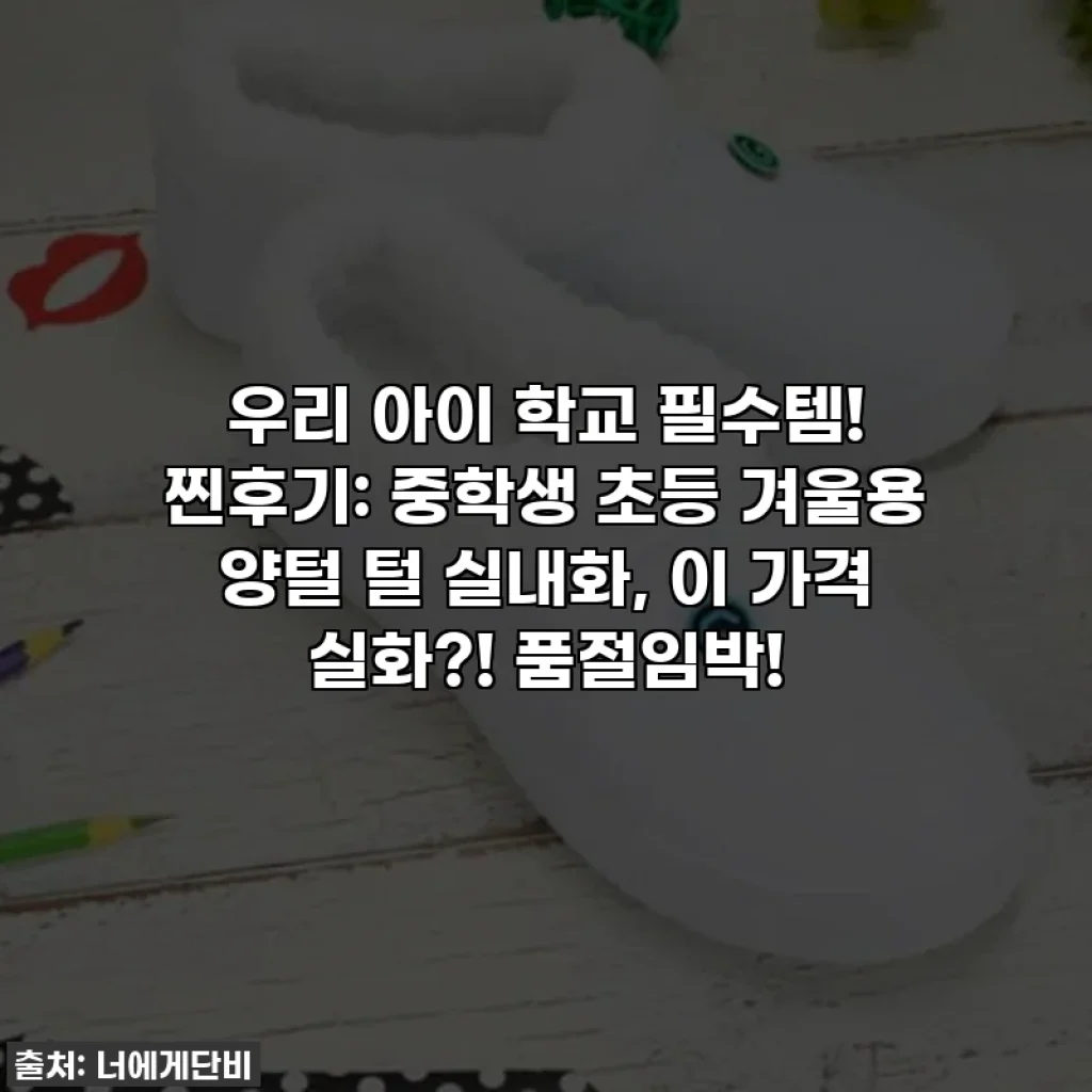 우리 아이 학교 필수템! 찐후기: 중학생 초등 겨울용 양털 털 실내화, 이 가격 실화?! 품절임박!