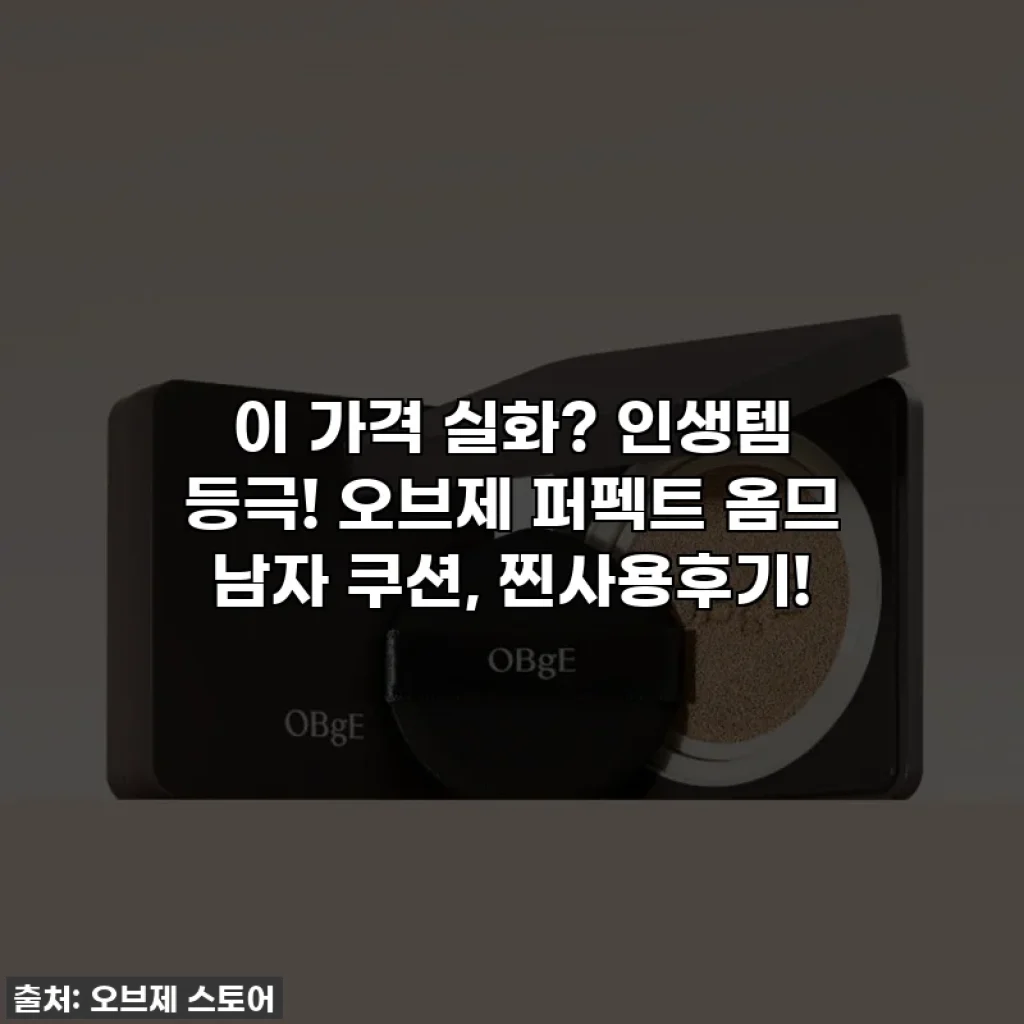 이 가격 실화? 인생템 등극! 오브제 퍼펙트 옴므 남자 쿠션, 찐사용후기!